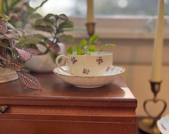 TEA GARDENS Vintage Teacup Planters