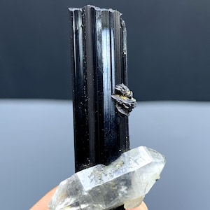 Schorl Black Tourmaline with Rare Tantalite and Quartz from Skardu Pakistan - 15 gram