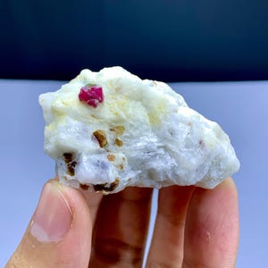 May include: A rough, white mineral specimen with a vibrant red crystal embedded at the top. The stone has a textured surface with small, brown and yellow inclusions. The mineral is held in a hand.