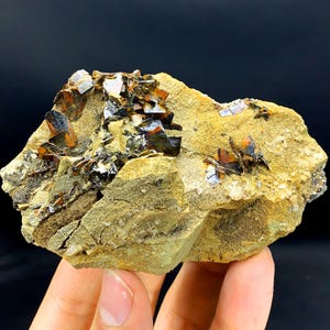 Puede incluir: Un grupo de cristales marrones y negros incrustados en una roca marrón claro. Los cristales tienen una forma afilada y angular y están dispuestos en un patrón aleatorio.