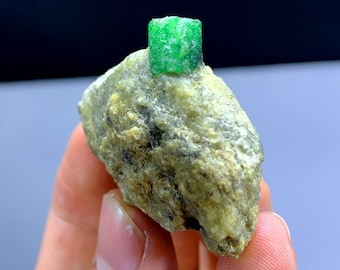 May include: A vibrant green emerald crystal, with a square shape, is mounted on a rough, gray and green rock.