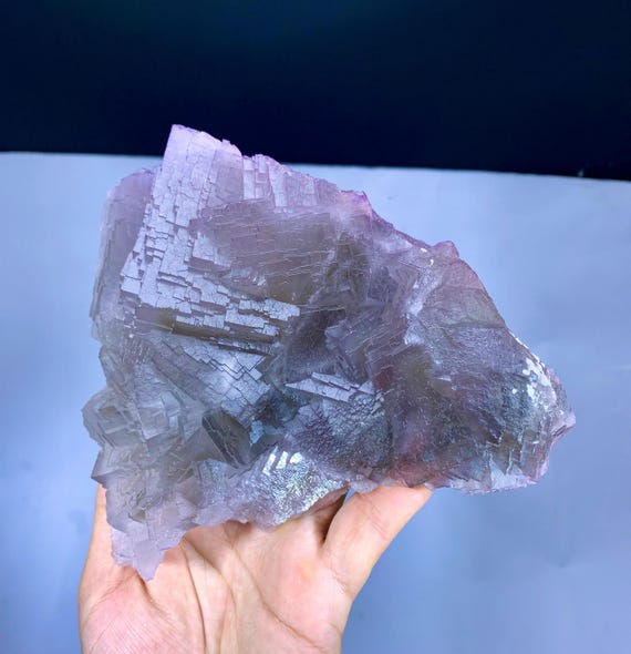 巨大な紫色のファントムフローライト、ユニークな階段状の終端 巨大な紫色のファントムフローライト、ユニークな階段状の終端