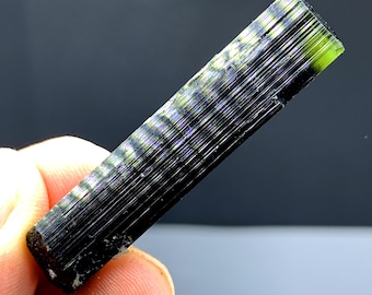 Green Cap Tourmaline Crystal, Natural Terminated Tourmaline from Astak Nala Pakistan - 09 gram