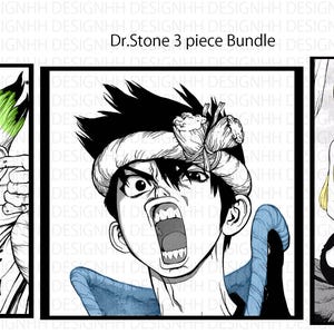 Dr.stone 3-delad bunt Senku Chrome Ruri