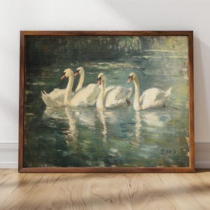 Eleganta svanar | Inramad svanposter, djurlivsdekor, svanmålning, rustik heminredning, inramat gicléetryck bild 1