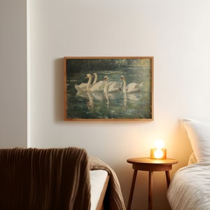 Eleganta svanar | Inramad svanposter, djurlivsdekor, svanmålning, rustik heminredning, inramat gicléetryck bild 6