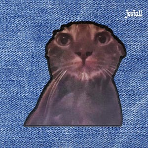 Wet Cat Meme Aufnäher: Aufnäher zum Aufbügeln