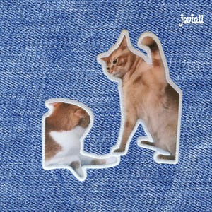 Fighting Cats Meme Patch: Iron-On/Sew-On Patch