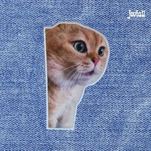 Meme Talking Cat Patch: Iron-On/Sew-On Patch