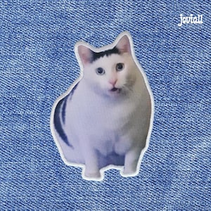 Meme-patch Huh Cat: opstrijk-/naaipatch