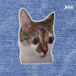 Op de afbeelding: Een katvormige patch met een verraste uitdrukking, met grote, wijde ogen en een wit-bruin kleurenschema. De patch is geplaatst tegen een blauwe denim achtergrond, met het woord "Joviall" in de rechterbovenhoek.