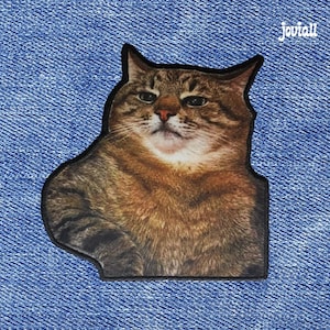 Naszywka z memem Stefan Cat: naszywka do naprasowania/naszycia