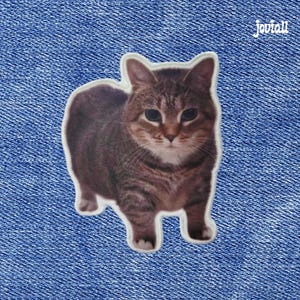 Peut inclure: Autocollant de chat tabby brun avec une bordure blanche. Le chat est debout et fait face, les yeux ouverts. L'autocollant est sur un fond en denim bleu. Le mot "Joviall" est en blanc dans le coin supérieur droit.