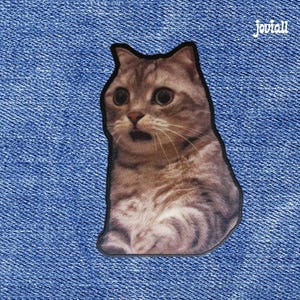 Amazed Meme Katze Aufnäher: Aufnäher zum Aufbügeln