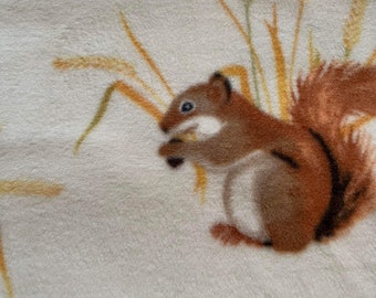 Squirrels on Cream