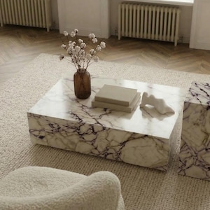 May include: A modern living room scene featuring a marble coffee table and side table with dark purple veining. A brown vase with white flowers and a stack of books sit on the table. A white sculpture is also on the table.
