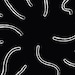 scart