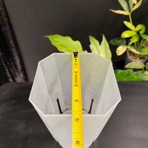 May include: A clear, geometric-shaped plant pot with a yellow measuring tape showing a height of approximately 6 inches. The pot has drainage holes and is set against a dark background, with a glimpse of green foliage.