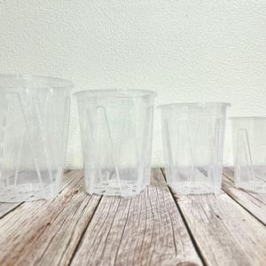Clear Round Air Slotted Plant Plastic Pot 3.9Inch - 6.2Inch  | Excellent for Aroids Tropical Plants | Good Drainage | US Seller