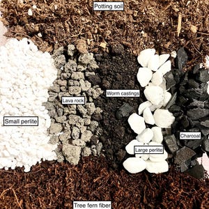 Tree Fern Fiber Soil Potting Mix(4 pots) for Anthurium Begonia Alocasia Hoya Propagation | Fill **FOUR 4&quot; Pots** | US Seller