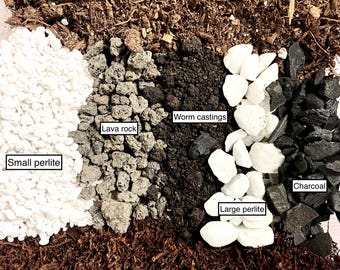 Tree Fern Fiber Potting Mix: Anthurium, Begonia, Alocasia, Hoya (Fill Four 4" Pots)