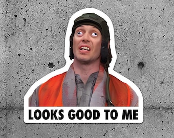 2 Pack - Hard Hat Sticker -Looks Good To Me Meme- Check out our other sticker listings