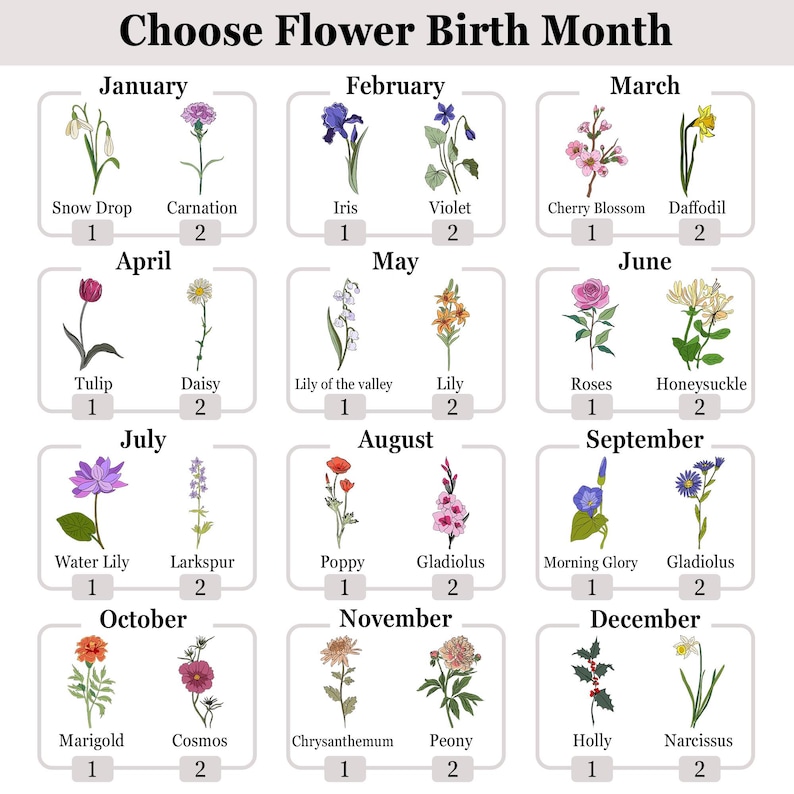 May include: A chart showing the birth month flowers. Each month has two flowers, with the name of the flower and the number 1 or 2 below it. The flowers are illustrated in color.