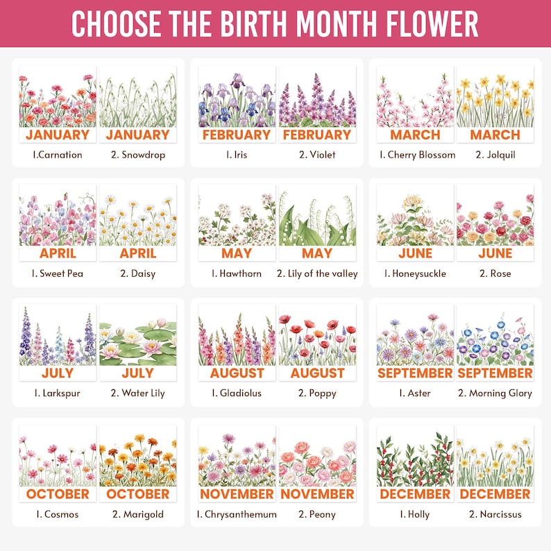 Puede incluir: Un gr&aacute;fico decorativo con el texto "CHOOSE THE BIRTH MONTH FLOWER" en la parte superior. Cada mes est&aacute; representado por dos flores, incluyendo clavel, iris, flor de cerezo, guisante de olor, espino, madreselva, espuela de caballero, gladiolo, aster, cosmos, crisantemo y acebo.