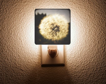 Dandy Lion Night Light