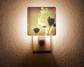 Vintage Queen Anne's Lace Night Light