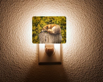 Sleeping Fox Night Light