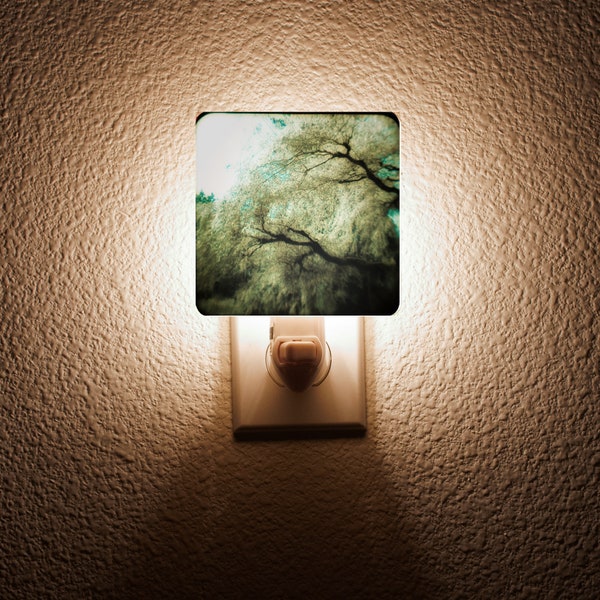 Zen Willow Tree Night Light