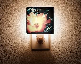 Mermaid Rose Night Light