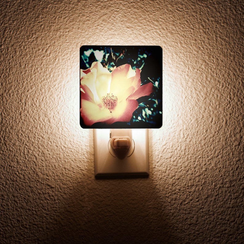 Mermaid Rose Night Light image 1