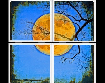 Harvest Moon Set of Four Ceramic Coasters