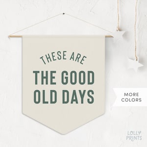 These Are Good Old Days Pennant Banner, Kids Room Decor Wall Art, Kids Room Playroom Flag Decoration, Nursery Wall Hanging