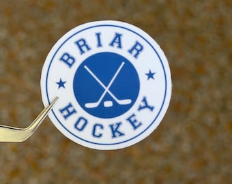 65. Briar Hockey Circle Logo Sticker | Off-Campus Inspired Hockey Romance sticker