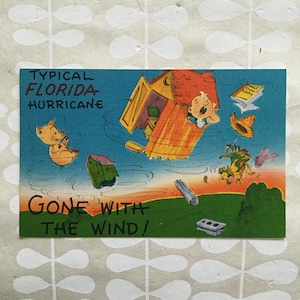 Vintage Florida Postcard- Typical Florida Hurricane
