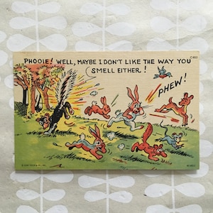 Vintage Curt Teich Postcard- Phooie! I don&#39;t like the way you smell