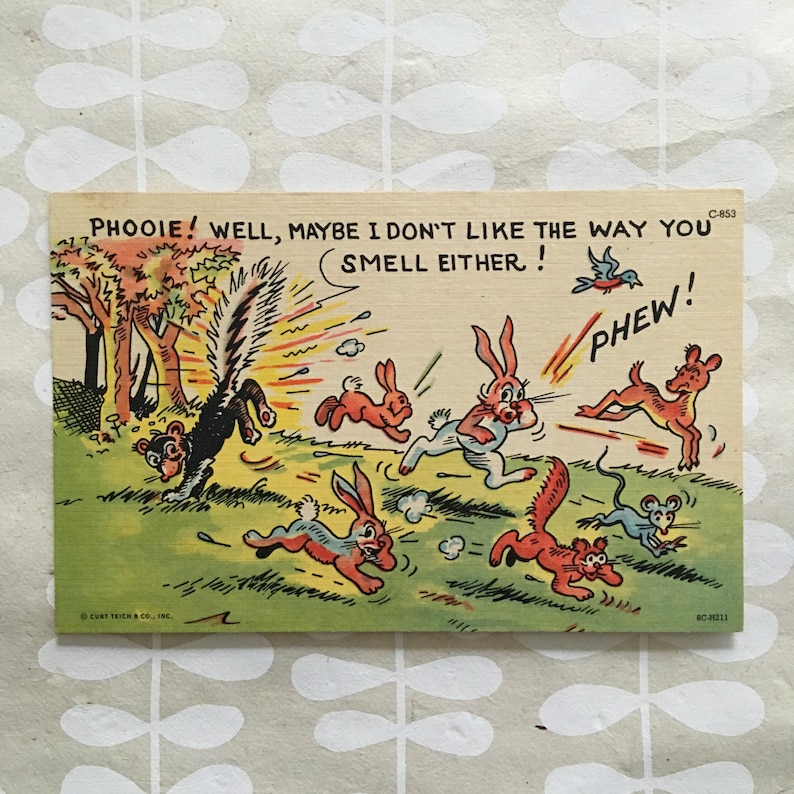 Vintage Curt Teich Postcard- Phooie! I Don't Like the Way You Smell - Etsy