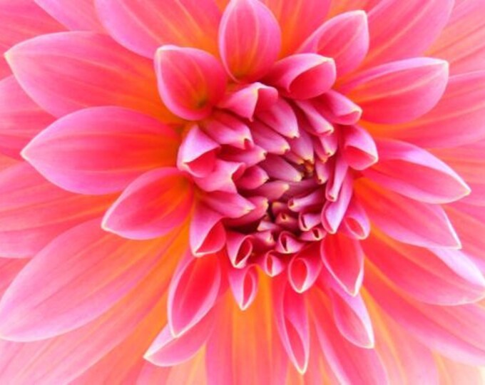 Custom Set of Six Blank Photo Note Cards Your Choice of Etsy