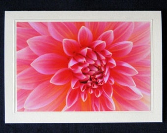 Set of Four Notecards - Floral or Fruit Options