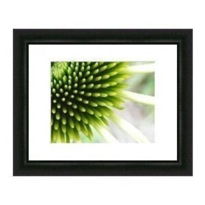 Bestseller 2 Touch Abstract Art Photograph Lime Green Coneflower Print 4x6, 5x7, 8x10, 11x14 image 4