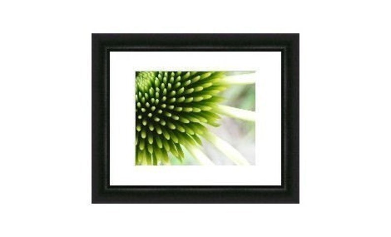 Bestseller 2 Touch Abstract Art Photograph Lime Green Coneflower Print 4x6, 5x7, 8x10, 11x14 image 4