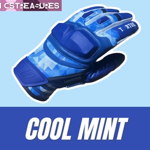 May include: Blue and white patterned motorcycle gloves with knuckle protection and a blue wrist strap. The gloves have the text "T.R.T.O.E" on the back of the hand.