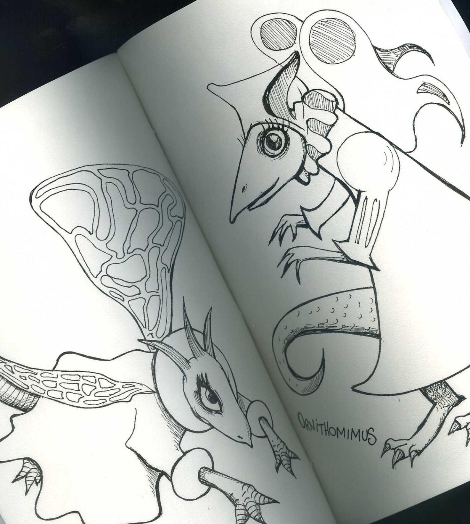 Fairy Princess Dinosaurs Colouring Book - Etsy