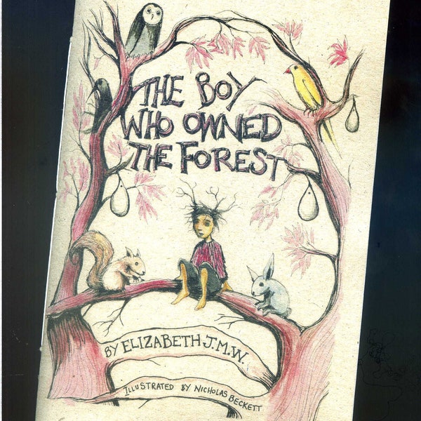 The Boy Who Owned The Forest - Elizabeth JMW - illustrated by Nicholas Beckett - 2nd Edition