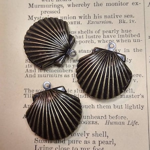 May include: Three bronze-colored seashell charms with a textured, ridged design. Each charm has a small loop at the top for attaching to jewelry or other crafts. The charms are on a vintage book page.