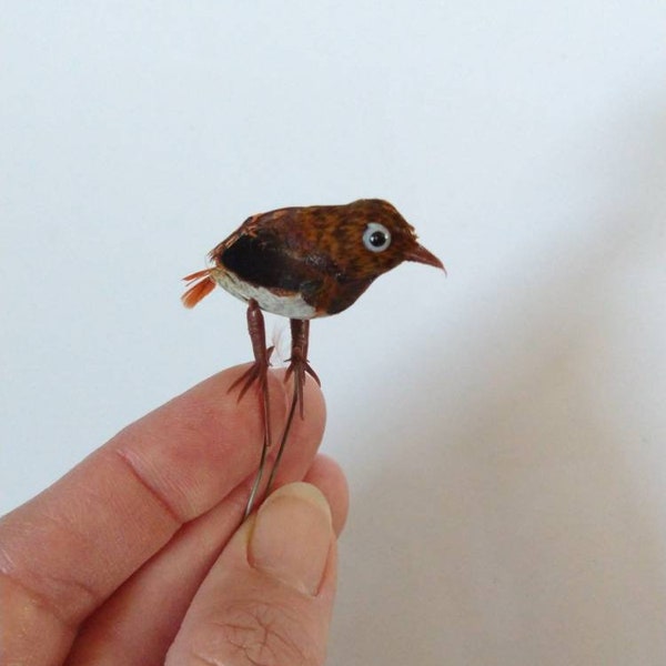 2pc TINY Vintage Feathered Quail Bird / made in Hong Kong/ SSCO new old stock craft mini / millinery craft miniature supply