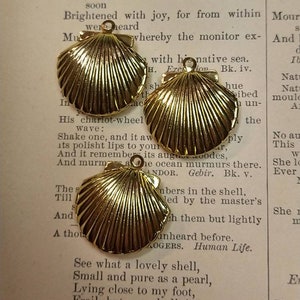 May include: Three gold-colored seashell charms with a textured surface, each with a small loop for attaching to jewelry or other crafts. The charms are displayed on a vintage book page with printed text.